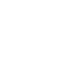 population population